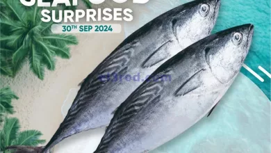 el3rod.com00001