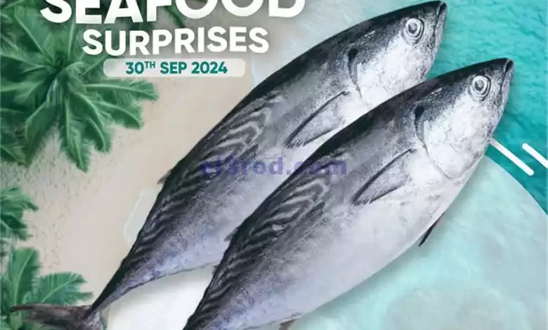 el3rod.com00001