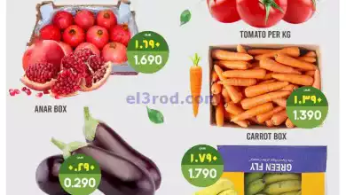 el3rod.com00001