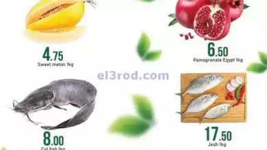 el3rod.com00001