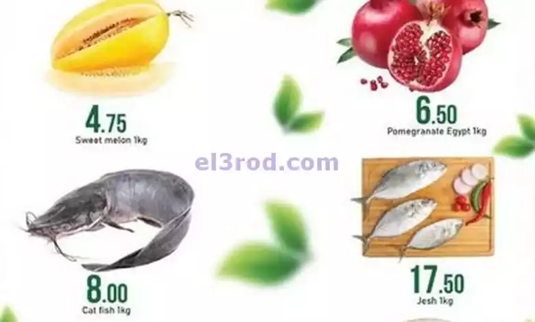 el3rod.com00001