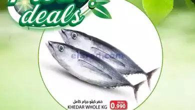 el3rod.com00001