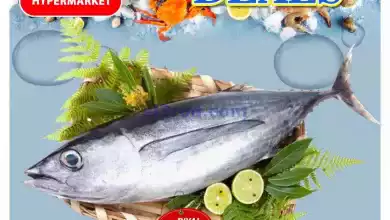 el3rod.com00001