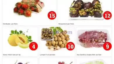 عروض مجلة نستو ام القيوين|7-9-2024|السبت el3rod.com00001