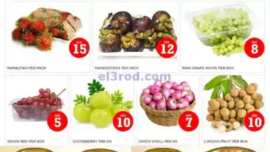 عروض مجلة نستو ام القيوين|8-9-2024|الاحد el3rod.com00001