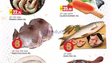 el3rod.com00001