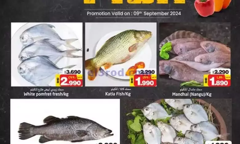 el3rod.com00001
