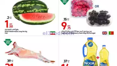el3rod.com00001