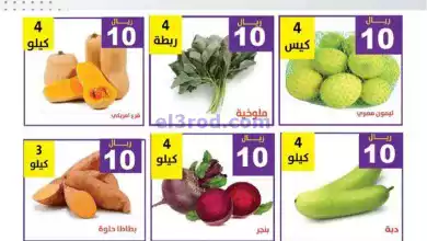 عروض مؤسسة حصاد البساتين السعودية|13-9-2024 el3rod.com00001