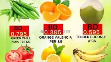 el3rod.com00001