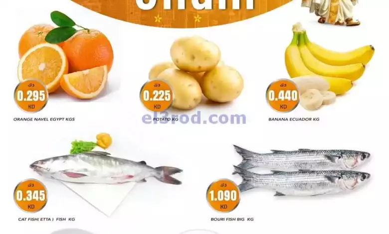 el3rod.com00001