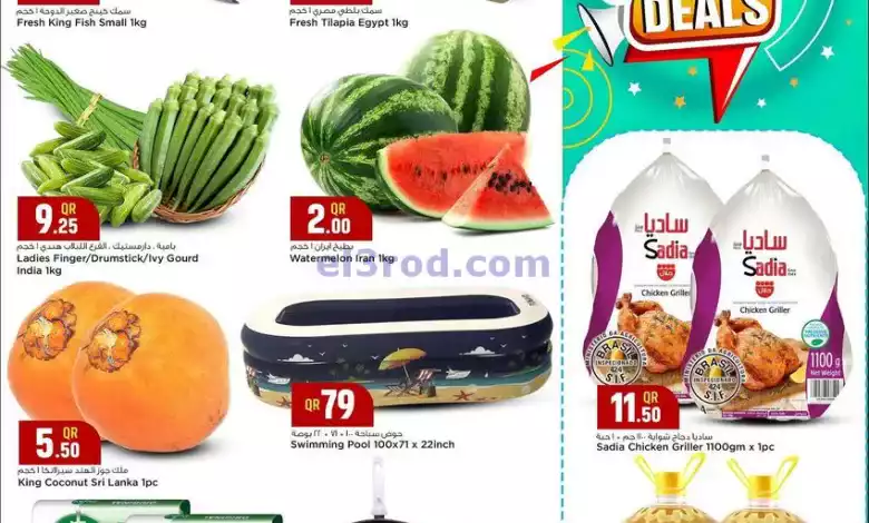عروض سفارى قطر|16-9-2024|الاثنين el3rod.com00001