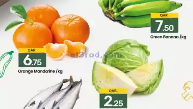 el3rod.com00001