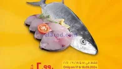 el3rod.com00001