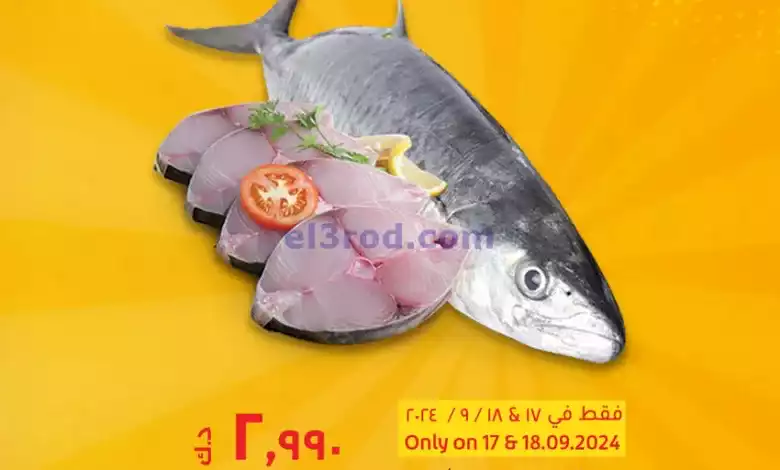 el3rod.com00001
