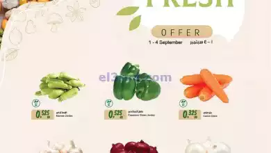 el3rod.com00002