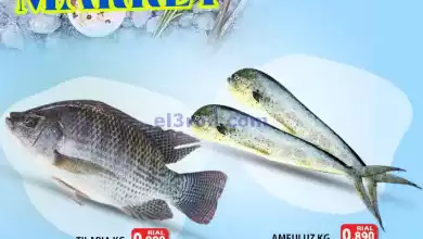 el3rod.com00002