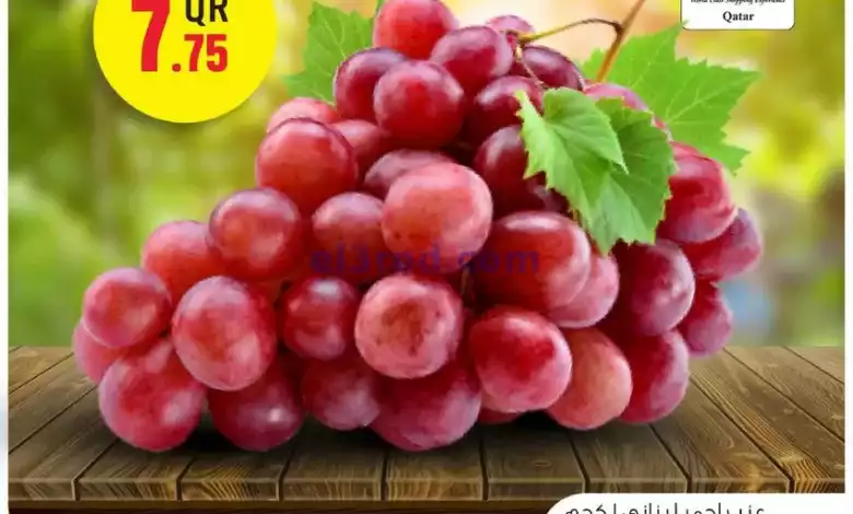 عروض سفارى قطر|11-9-2024|الاربعاء el3rod.com00002