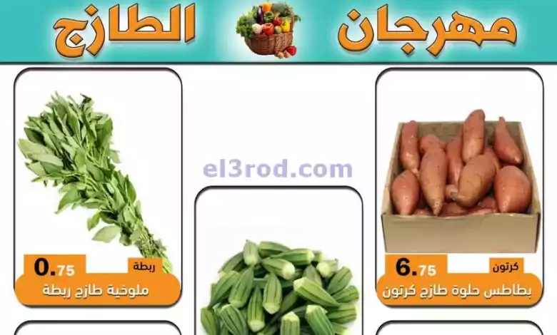 el3rod.com00002