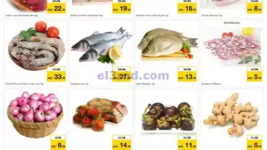 عروض مجلة نستو ام القيوين|15-9-2024|الاحد el3rod.com00002