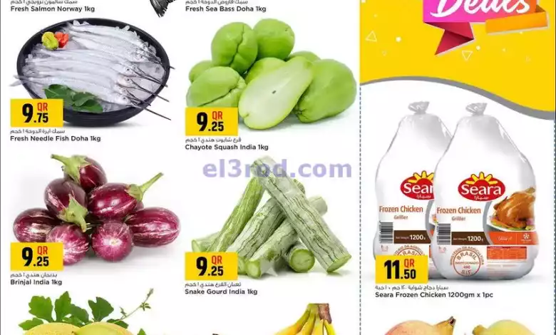 عروض سفارى قطر|17-9-2024|الثلاثاء el3rod.com00002