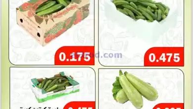 el3rod.com00002