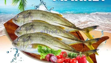 عروض تاج هايبر ماركت عمان|18-9-2024|الاربعاء el3rod.com00002