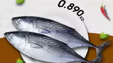 el3rod.com00004