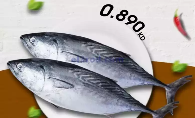el3rod.com00004