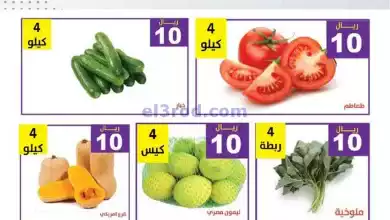 عروض مؤسسة حصاد البساتين السعودية|20-9-2024|يومي el3rod.com00004