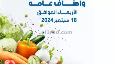 el3rod.com00005