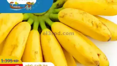 el3rod.com00016