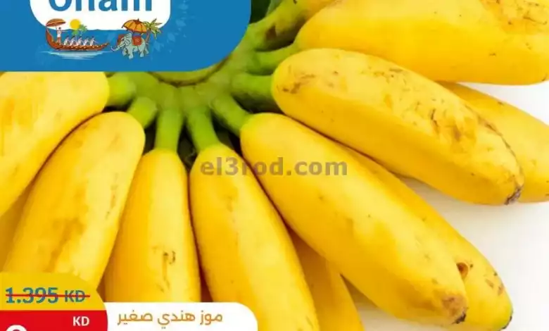 el3rod.com00016