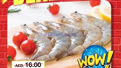 el3rod.com00001