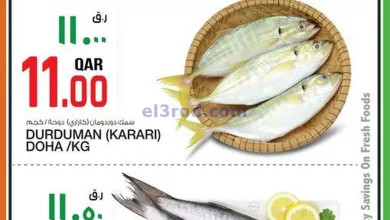 el3rod.com00001