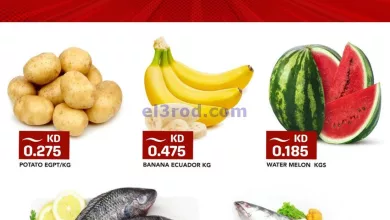 el3rod.com00001