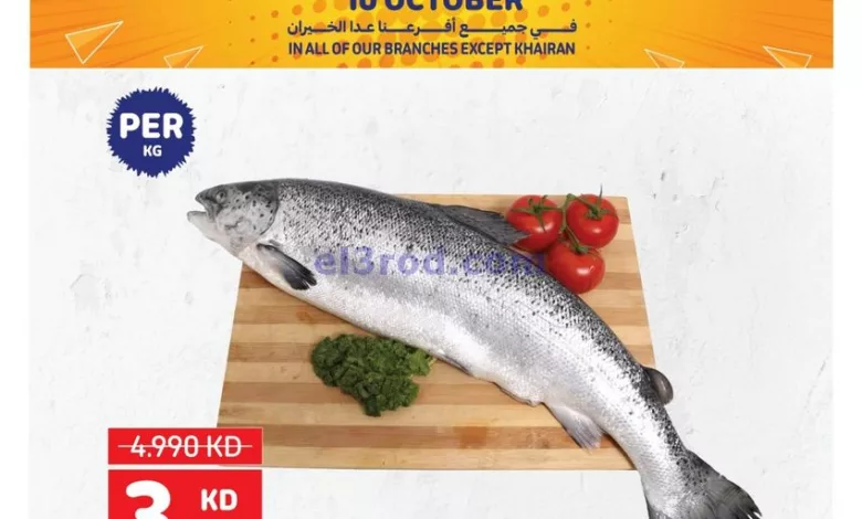 el3rod.com00001