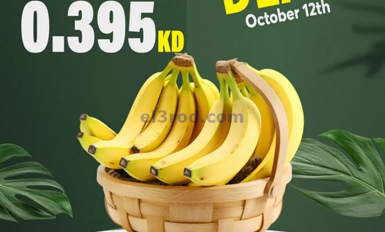 el3rod.com00001