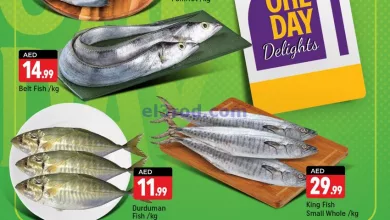 el3rod.com00001