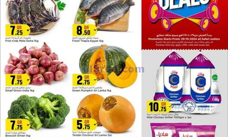 عروض سفارى قطر|29-10-2024|الثلاثاء el3rod.com00002