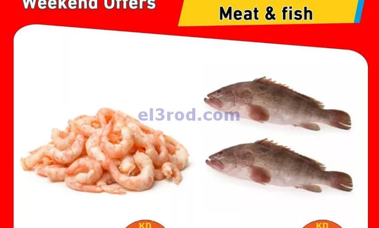 el3rod.com00002