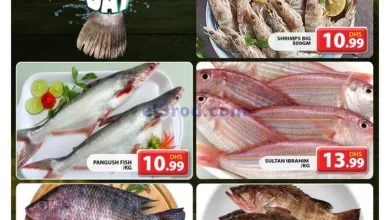 عروض مجلة جراند هايبر جبل على الامارات|9-10-2024 el3rod.com00002