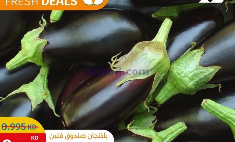 عروض سيتى ماركت الكويت|فريش|8-10-2024 el3rod.com00003