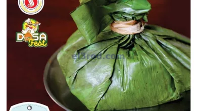 عروض سفاري الامارات|11-10-2024|الجمعة el3rod.com00003