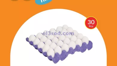 el3rod.com00004
