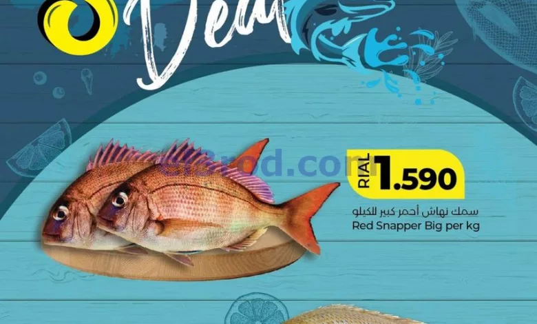 el3rod.com00012