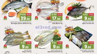 el3rod.com00001