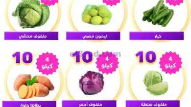 عروض مؤسسة حصاد البساتين السعودية|22-11-2024 el3rod.com00001
