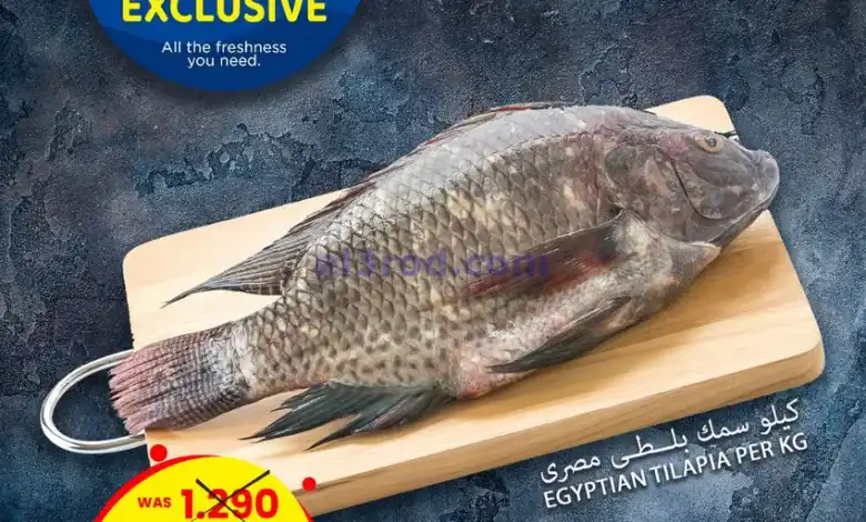 el3rod.com00001