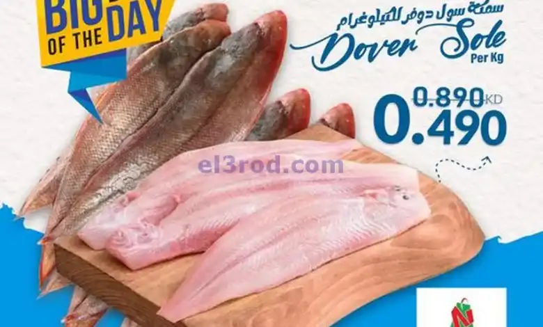 el3rod.com00001